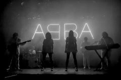 The-Super-Troupers-South-West-Abba-Tribute-for-Hire-1