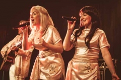 The-Super-Troupers-South-West-Abba-Tribute-for-Hire-23