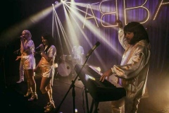 The-Super-Troupers-South-West-Abba-Tribute-for-Hire-8
