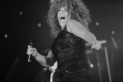 Tina-Turner-Tribute-Hire-from-Richer-Music-14